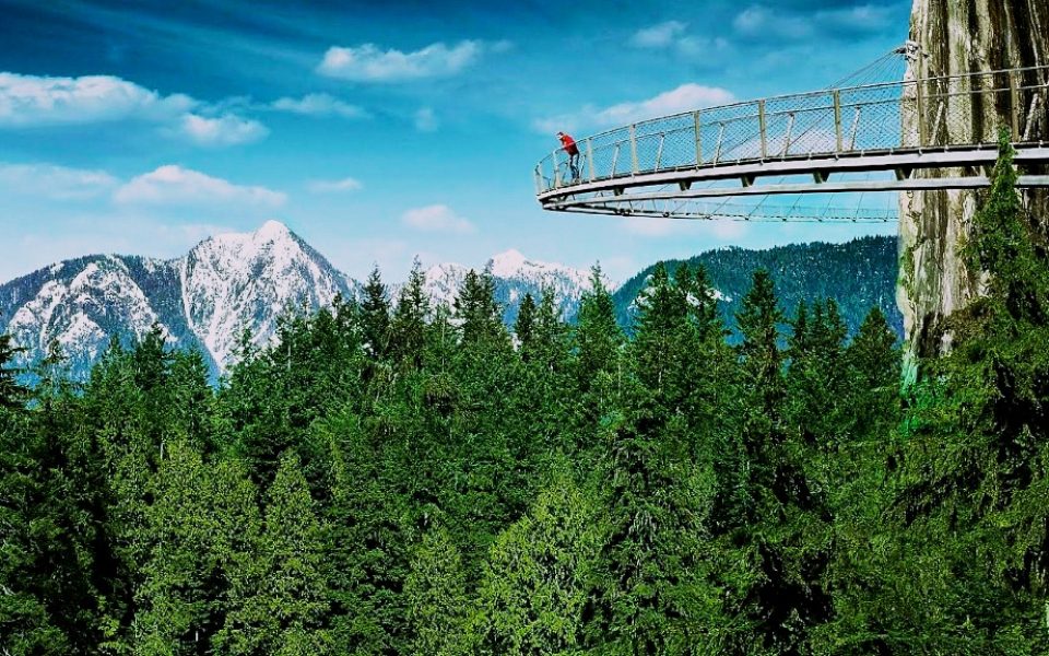 Amazing Capilano Suspension Cliff Bridge Canada Cliffwalk Forest Mountains Man Full HD Wallpaper